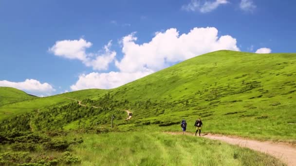 Deux randonneurs caucasiens actifs avec sac à dos marchant dans les montagnes, profitant de leur aventure — Video