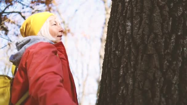 Dünya günü. Güneşli bir sonbahar gününde doğada büyük bir ağaca sarılan bir kadın. Doğa aşığı — Stok video