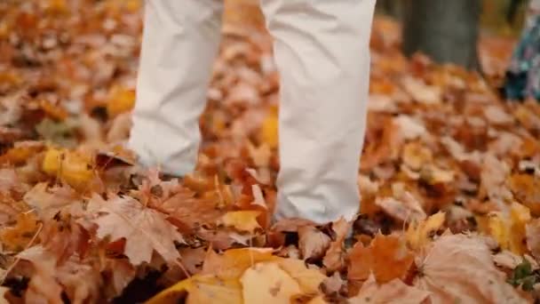 Promenera i en vacker naturskön höstpark. Kvinnliga resenärsben i lätta läderstövlar går off-road genom skogen med gula och orange blad — Stockvideo