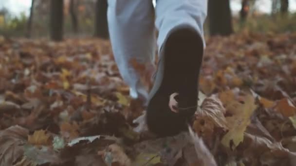 Spacer w pięknym naturalnym parku jesiennym. Kobieta podróżnik nogi w jasnych skórzanych butach idzie off-road przez las z żółtymi i pomarańczowymi liśćmi — Wideo stockowe