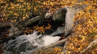 Kanalizasyon. Kirli su endüstriyel borudan akıyor. Ekoloji.