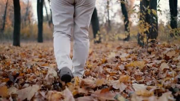 Procházka v krásném přírodním podzimním parku. Ženské cestovatelské nohy v lehkých kožených botách jde off-road lesem se žlutými a oranžovými listy — Stock video
