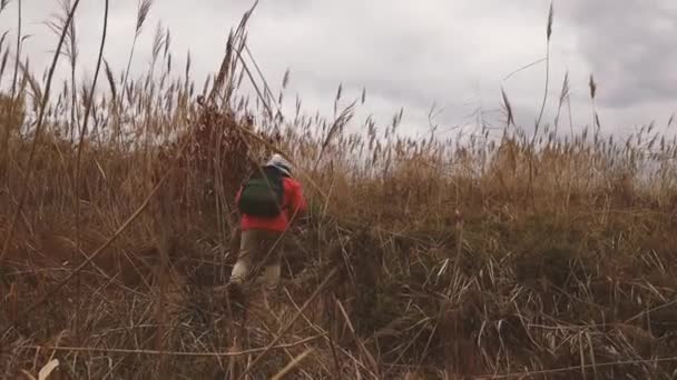 Vista trasera de turista mujer con paseos en mochila en el campo de hierba pampa naturaleza — Vídeos de Stock