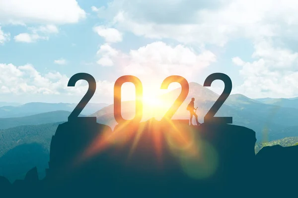 Erfolgreicher Glückspilz Erreichte 2022 Die Spitze Frohes Neues Jahr Und — Stockfoto
