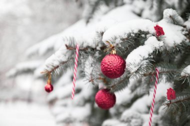 Noel ve Yeni Yıl tatilleri arka planı, kış mevsimi çerçevesi, dallarında xmas topları olan pankart..