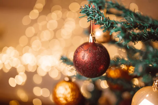 Mutlu Noeller Mutlu Bayramlar Köknar Dallarında Kırmızı Altın Toplar — Stok fotoğraf