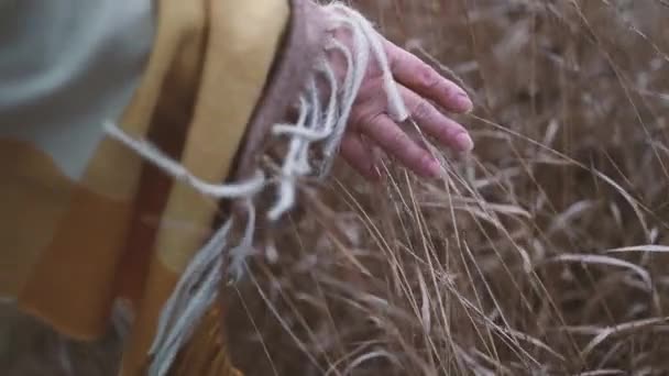 Samica ręka dotykam suchy jesienny trawa roślina w wiejski dolina pole o zachodzie słońca. Streszczenie jesiennego tła przyrody. — Wideo stockowe
