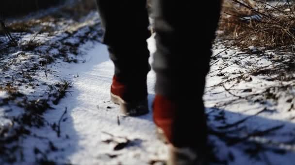 Botas de invierno en la nieve. Mujer pie en invierno bordo zapatos camina a través de bosque nevado pisando nieve profunda. Vista trasera de las piernas en el frío día de invierno. — Vídeos de Stock