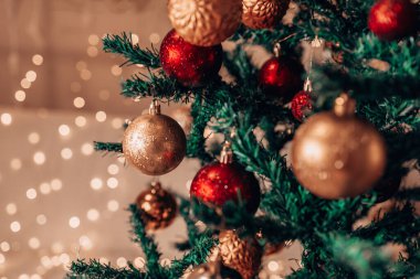 Mutlu Noeller ve mutlu bayramlar. Köknar dallarında kırmızı altın toplar