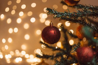 Kırmızı toplar köknar dallarında, kış altın bulanıklığı arka planında. Şenlik sezonu. Arkaplanda soyut noel ışıkları.