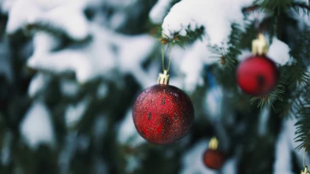 雪の背景がぼやけているクリスマスツリー上の赤いボールのおもちゃの装飾を閉じます。メリークリスマスとハッピーホリデー — ストック動画