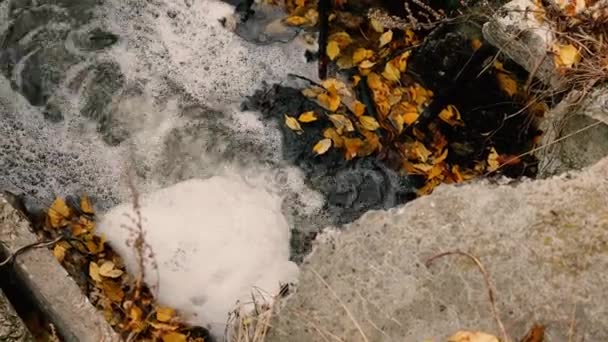 Dirty water running out of industrial pipe, environmental pollution. Ecology. — Vídeo de Stock