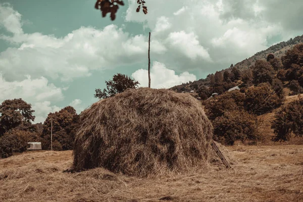 Haystack on the field high in the mountains at summer time — Foto Stock