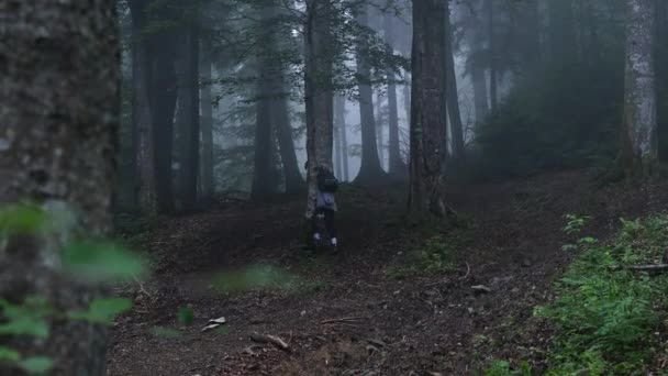霧の中で秋の森の中で未舗装の道路。秋の朝に霧の森の中を歩く若い女性観光客のバックビュー. — ストック動画