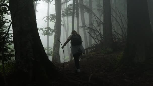 秋の朝に霧の森の中を歩くバックパック付きの女性観光客. — ストック動画