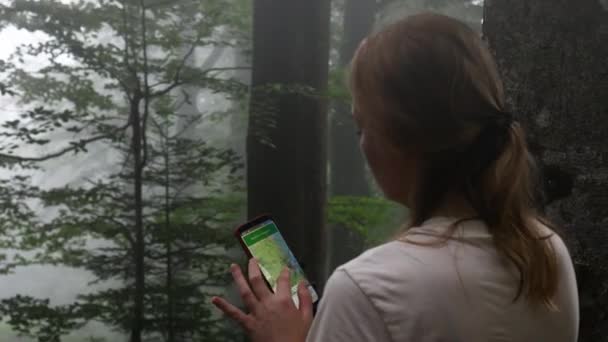 Retrato mujer viajero utilizando el teléfono inteligente con gps navegador icono del mapa de ruta de búsqueda mientras viaja en las montañas — Vídeos de Stock