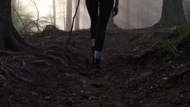 Karanlık sisli orman. Sonbaharda sis ormanında yürüyen sırt çantalı bir kadın. Sonbahar ormanlarında sis içinde toprak yol.