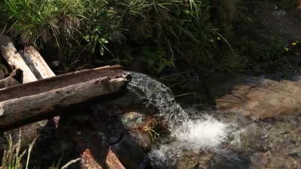 Fresh clear and cold mountain water from stream at autumn forest — Stockvideo