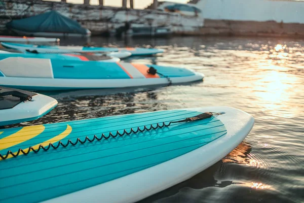 Κοντινό πλάνο του stand up SUP κουπί σκάφους στη λίμνη ή τη θάλασσα με μπλε νούφαρα, κωπηλασία το καλοκαίρι στο ηλιοβασίλεμα. Θερινές οικογενειακές διακοπές — Φωτογραφία Αρχείου