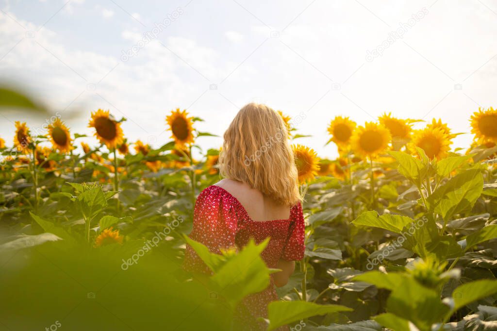 Back view of a pretty young girl in dress with long blond hair in a blooming sunflower field. Enjoy moment