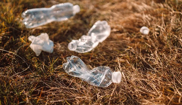 Загрязнение Природной Защиты Лесов Мусора Отходы Пластиковых Бутылок Лесу Планета — стоковое фото