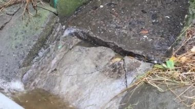 Beton borudan atık su çekiliyor. Çamurlu bir yağmurdan sonra parktaki yolu çamurlu su basmış. Yollarda bir sürü kanalizasyon var. Sokakları su basmış.