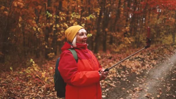 Turista mujer toma una selfie en un teléfono inteligente con un palo de selfie caminando en el bosque de otoño en un día soleado de otoño — Vídeo de stock