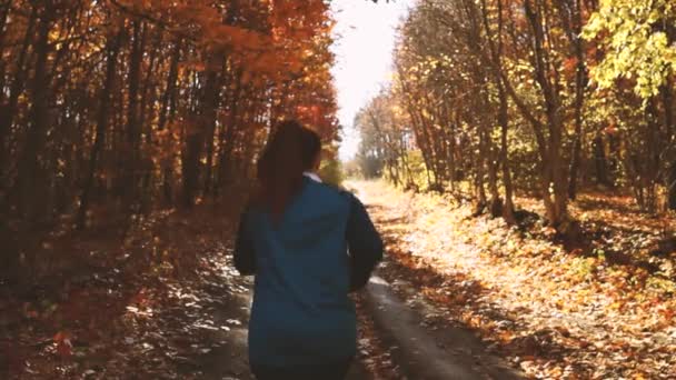 Aktivní mladá fena ve sportovním oblečení běží podzimní slunnou lesní stezkou, aby se připravila na maraton. Cvičení, pohoda a sport dívka koncept — Stock video