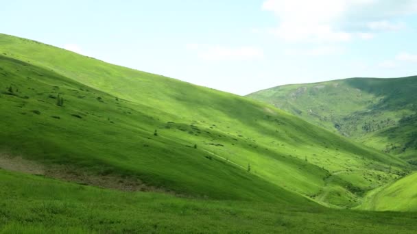 Erstaunliche natürliche Aussicht auf die hellen immergrünen Kiefernwälder mit Holzhäusern und Hütten. Grünes Gras wiegt sich im Wind. Urlaub und Reisen — Stockvideo