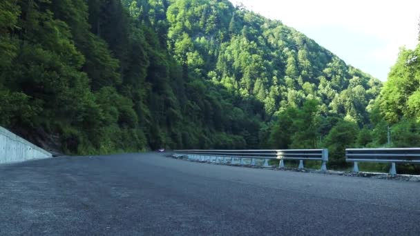 Pinkfarbenes Auto auf ländlicher Asphaltstraße in tiefem Regenwald mit grünem Baumwald — Stockvideo