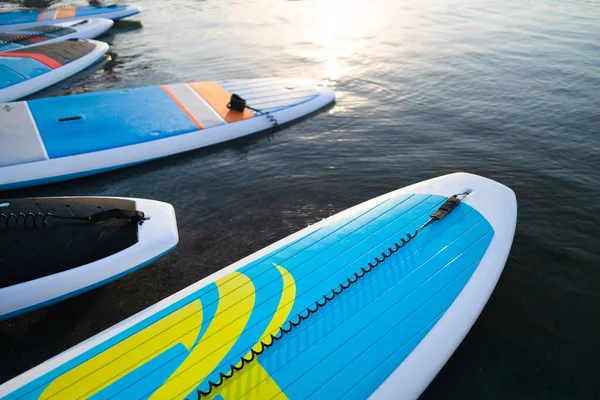 Primer Plano Stand Sup Paddle Board Lago Mar Con Lirios — Foto de Stock