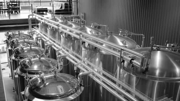Ambachtelijke bierproductielijn in particuliere microbrouwerij. Moderne bierfabriek met brouwketels, -buizen en -tanks van roestvrij staal — Stockvideo