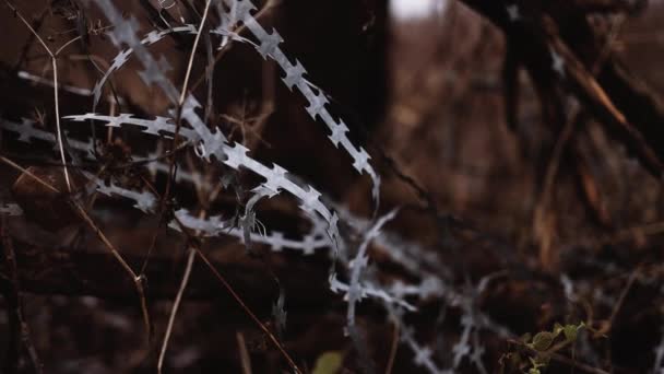 Fil barbelé contre les migrants. lignes de fil barbelé pour délimiter la frontière pendant la guerre — Video