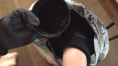 Bahçıvan kız tohum ekmek için plastik kaplara toprak topluyor. Evde bahçıvanlık, eko saksılarda fidanlar ve sulama bitkileri. 