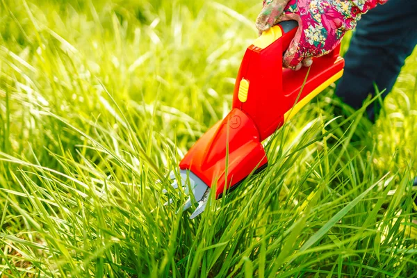 Yakın plan el, kırmızı elektrikli bir çim biçme makinesi tutuyor ve bitki örtüsünün kenarını buduyor.. 
