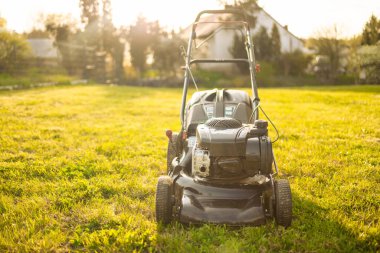 Gardening care tools and equipment. Process of lawn trimming