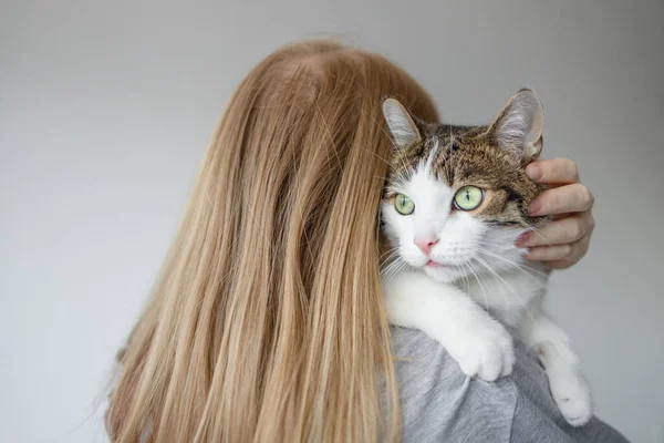 Portrait de jeune femme blonde des années 30 tenant un joli chat tabby aux yeux verts. Femme étreinte chat dans les mains — Photo