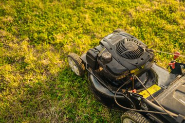 Çim biçme makinesi güneş ışığında yeşil çim kesme