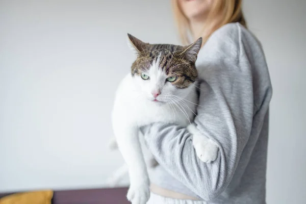 Blonde Jeune Fille Vêtements Maison Tient Chat Blanc Tabby Gris — Photo