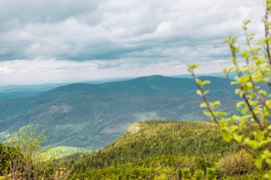Bulutlu gökyüzünde doğa bitkileriyle şaşırtıcı dağ manzarası, doğal dış seyahat arka planı. Güzellik dünyası.