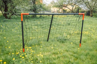 Doğanın ortasında yeşil bir çim parkında futbol sahası. Ormanlık alanda. oyun alanı. 