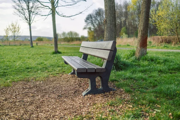 Egy Szép Nyári Parkban Padon — Stock Fotó