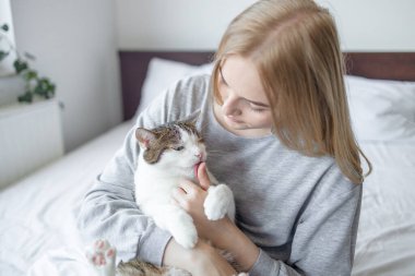 Gri gevşemiş tekir kedicik evdeki kanepede uzanıyor..