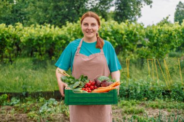 Eller genç kadın çiftçi organik sebzelerle dolu bir kutu tutuyor tarım tarlaları, tarlalar, organik gıdalar.