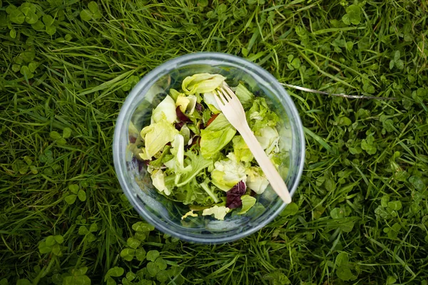 Bowl of fresh salad with plastic food wrap on green grass, flat lay. Vegan food, healthy plant-based diet concept.