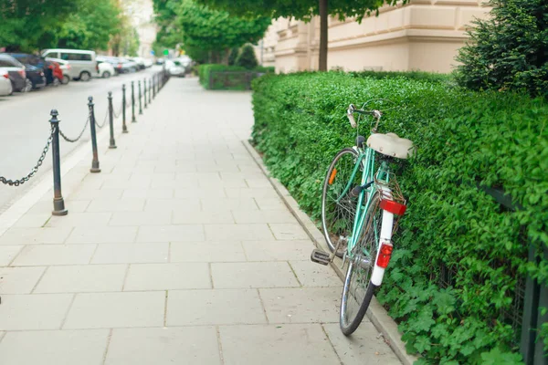 Ein Oldtimer Fahrrad Gegen Eine Grüne Pflanzenmauer Auf Einer Europäischen — Stockfoto