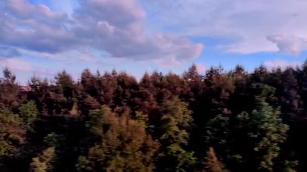 Вид Железнодорожный Путь Окна Скоростного Поезда Панорама Стороны Пассажирского Окна — стоковое видео