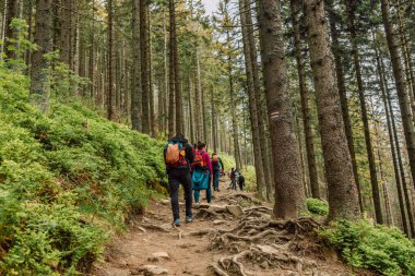 Spor kıyafetleri içinde bir grup turist ormanda dağın tepesine doğru yürüyüş yapıyor, inanılmaz doğa manzarası..