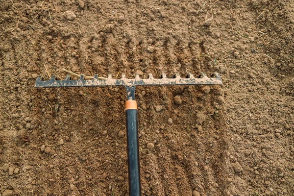 Loosening Soil Rake Greenhouse Close New Metal Garden Rake Cleaning — Stock Photo, Image