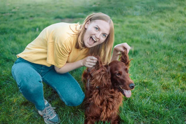 快乐的金发30多岁的年轻女人在公园外面和她的爱尔兰猎狗玩耍 快乐的女孩抬起她的狗耳朵 — 图库照片
